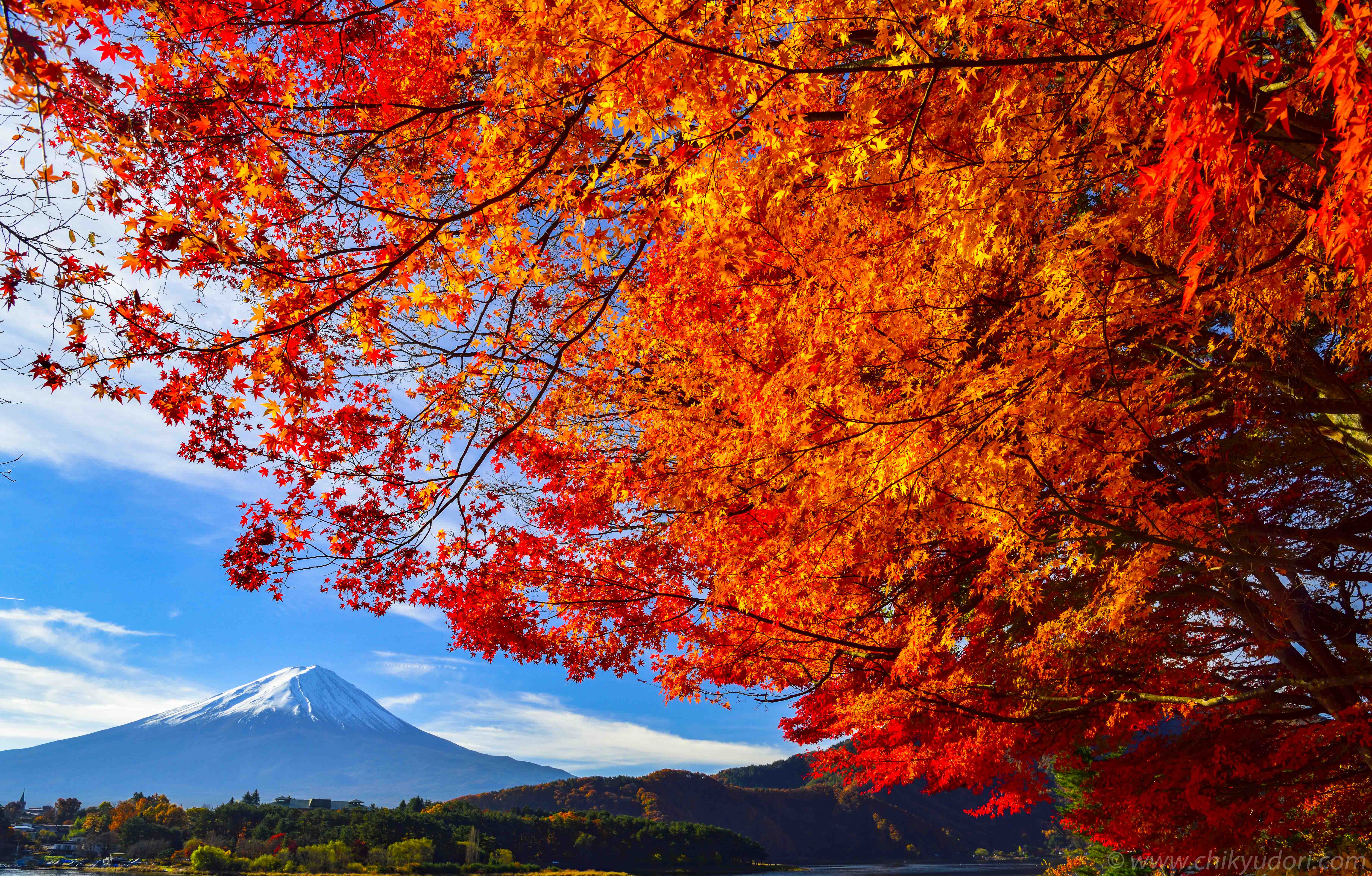 河口湖の紅葉まつりと富士山 地球の撮り方