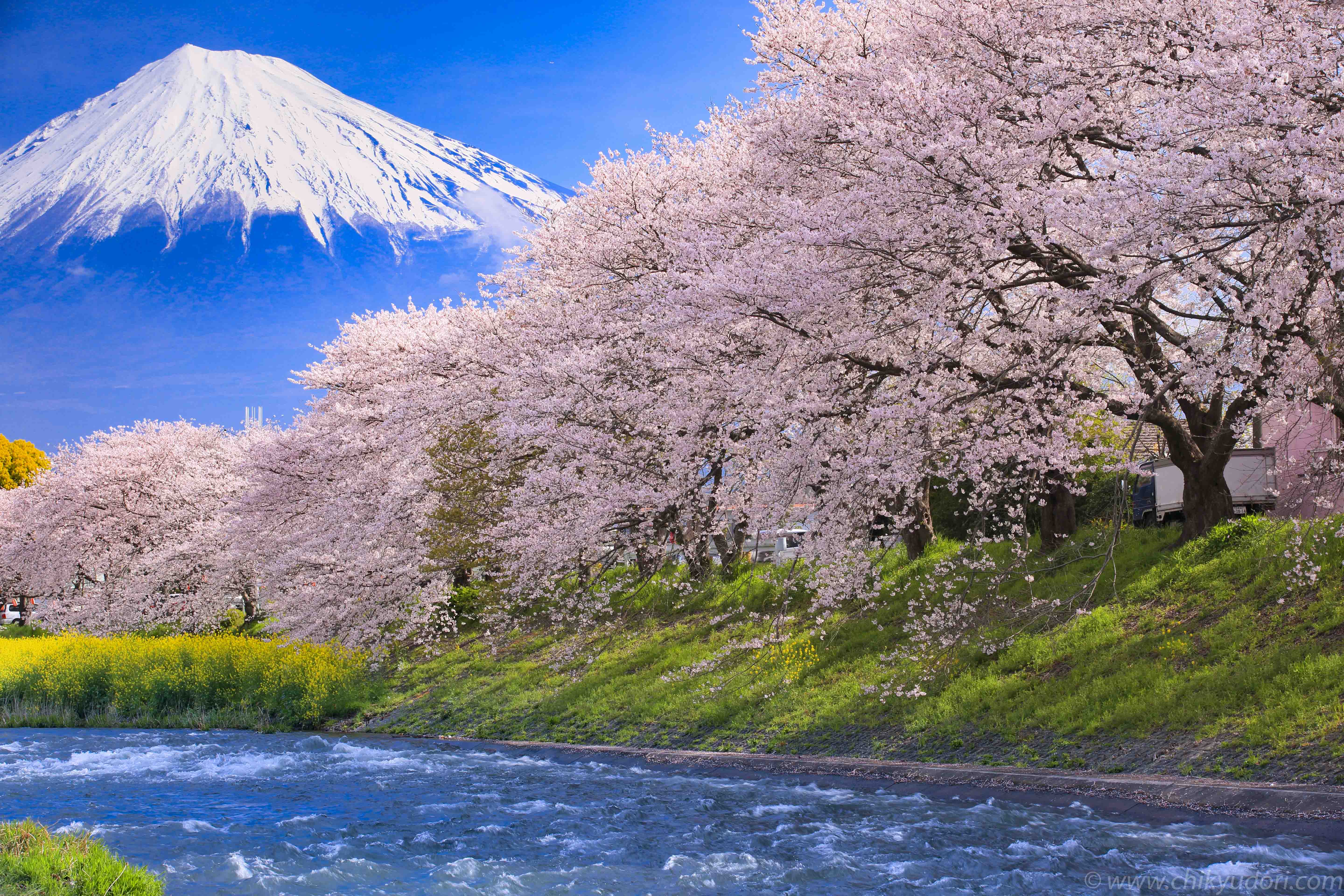 龍巌淵の桜と富士山 地球の撮り方