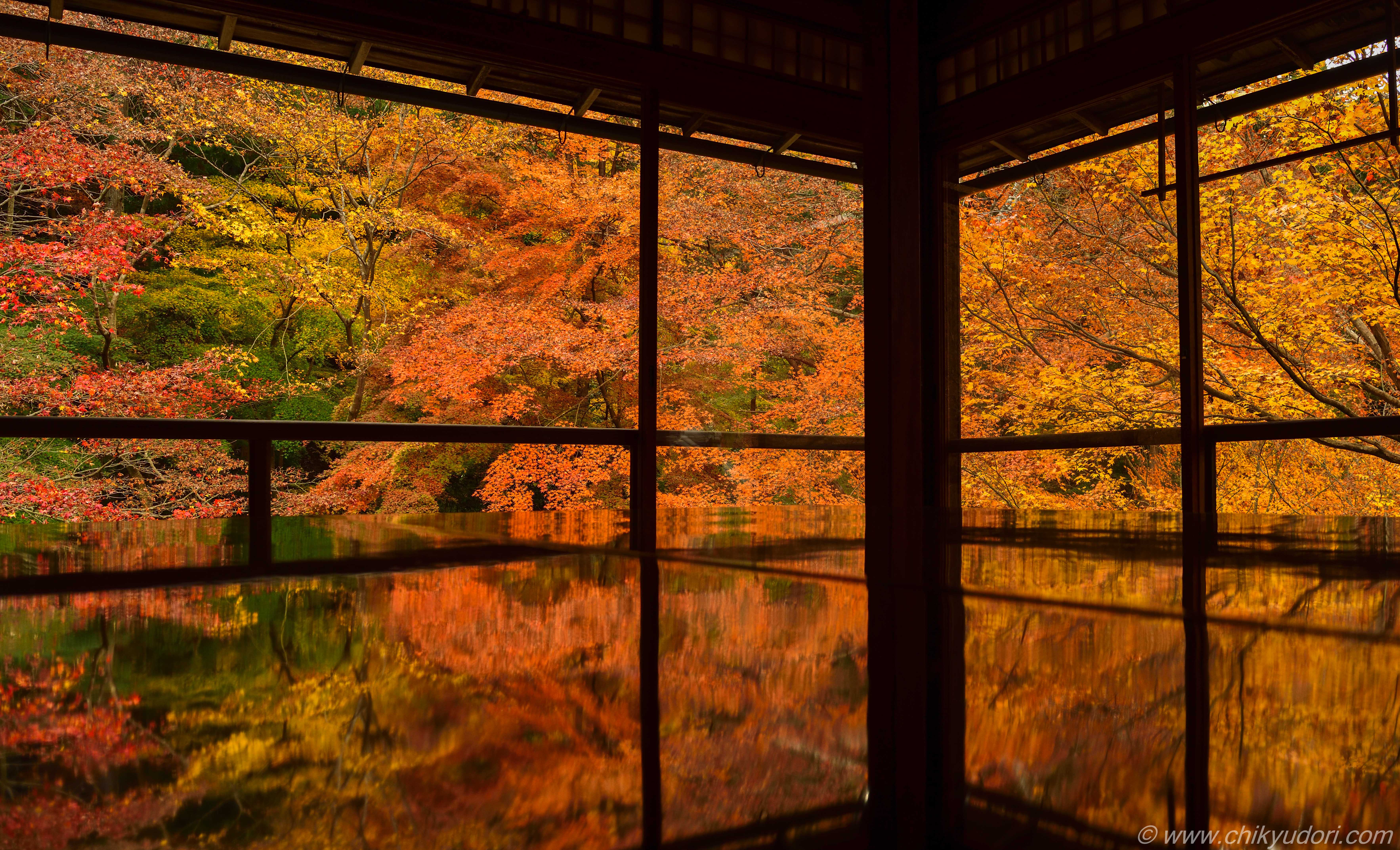 新緑と紅葉が反射する床もみじ 京都八瀬の瑠璃光院の春秋の特別拝観とライトアップ 広角レンズ用plフィルター 地球の撮り方