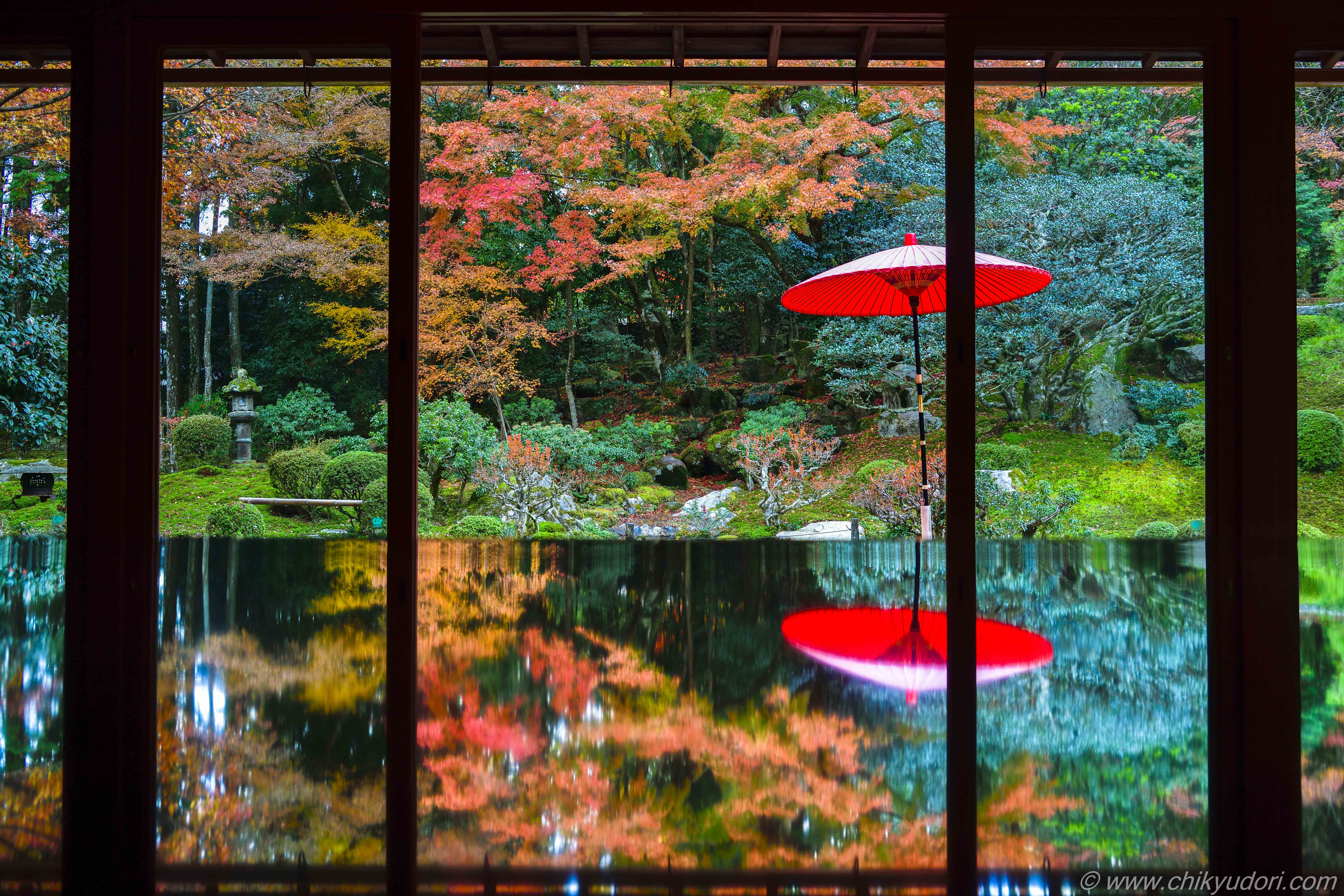 滋賀の紅葉の名勝、旧竹林院の庭園とリフレクション（Nikon D850 