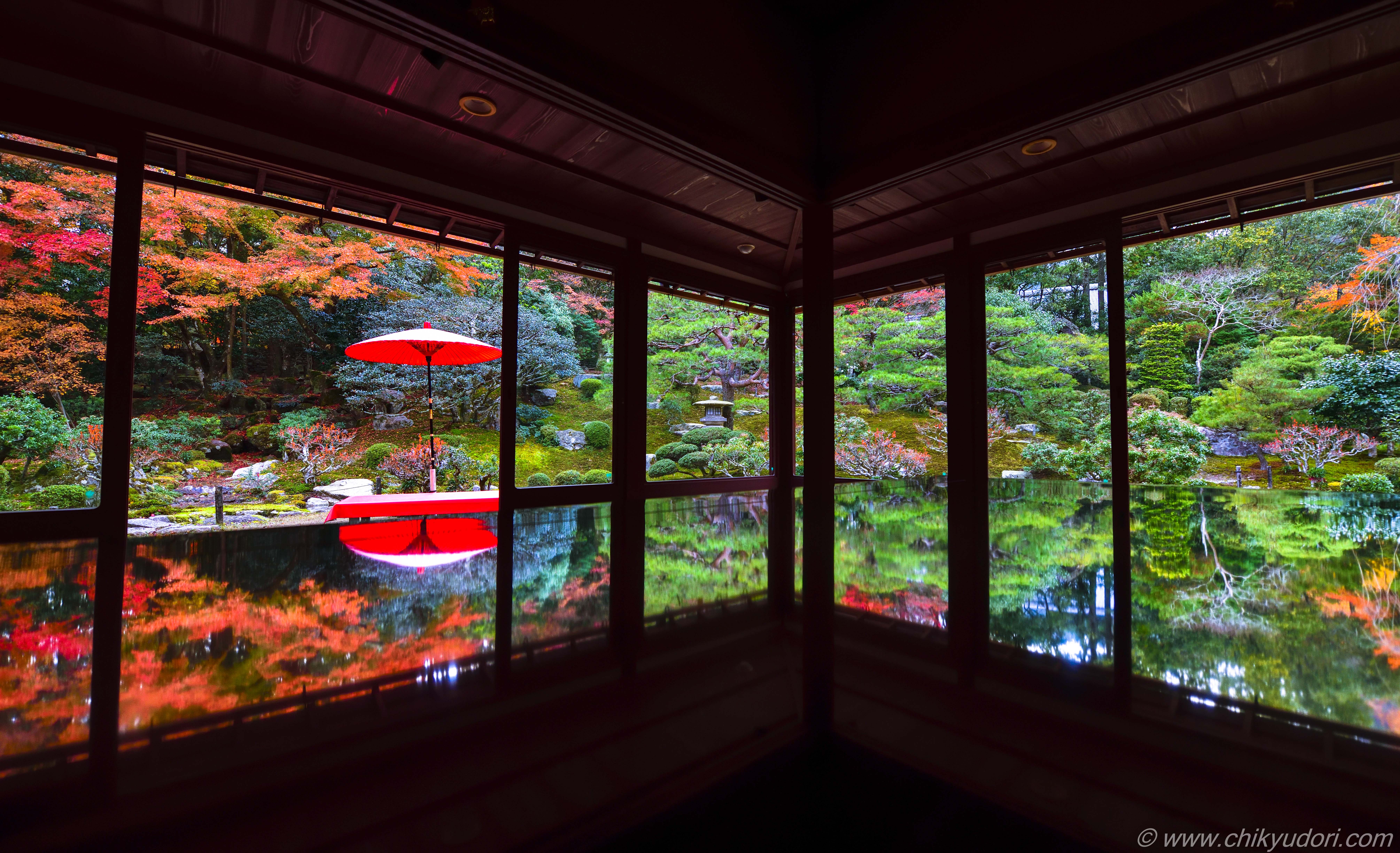 滋賀の紅葉の名勝、旧竹林院の庭園とリフレクション（Nikon D850 