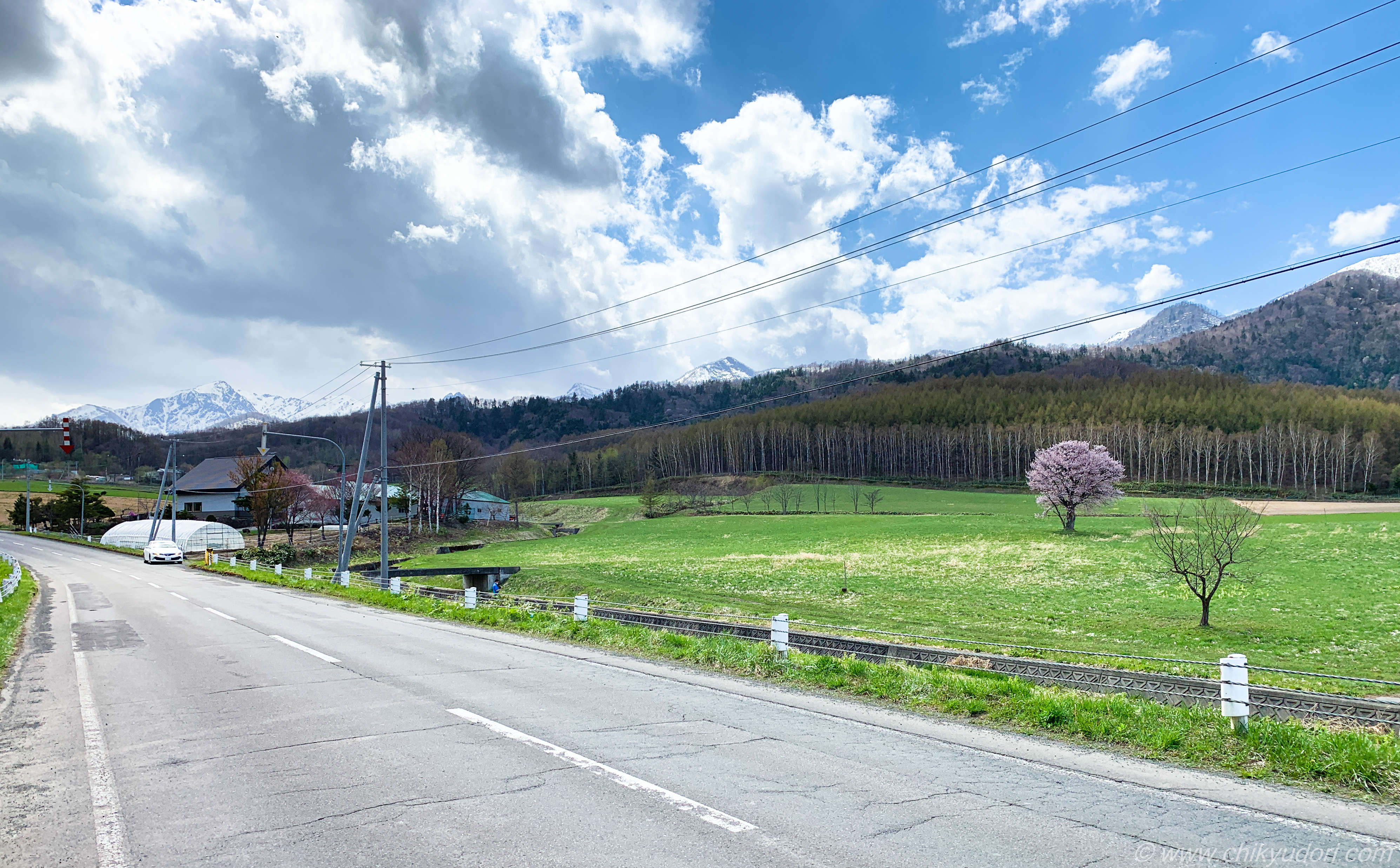 富良野の春の訪れ、上御料の一本桜（エゾヤマザクラ） - 地球の撮り方