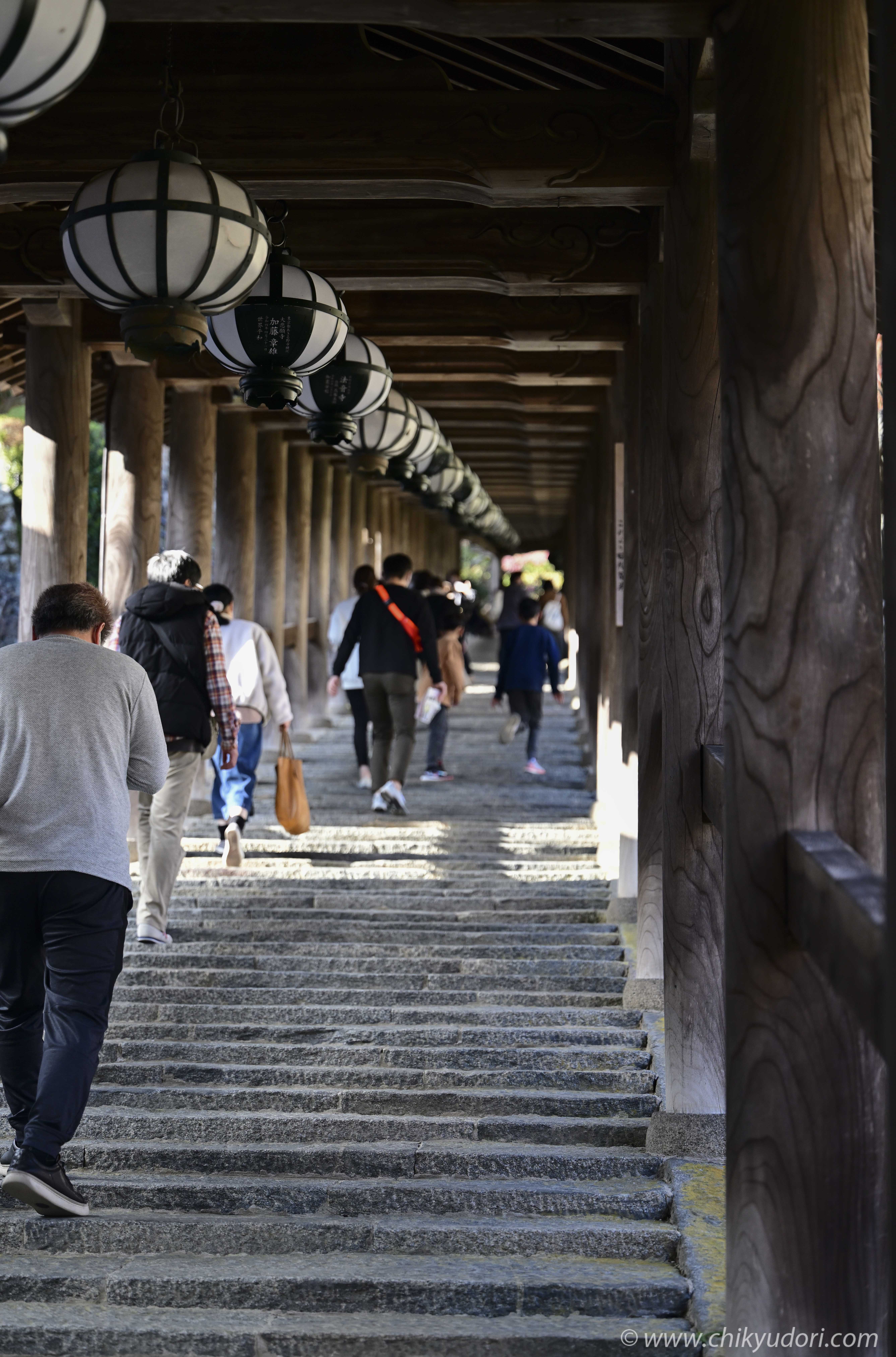 シルエットに輝く床もみじ、奈良県長谷寺