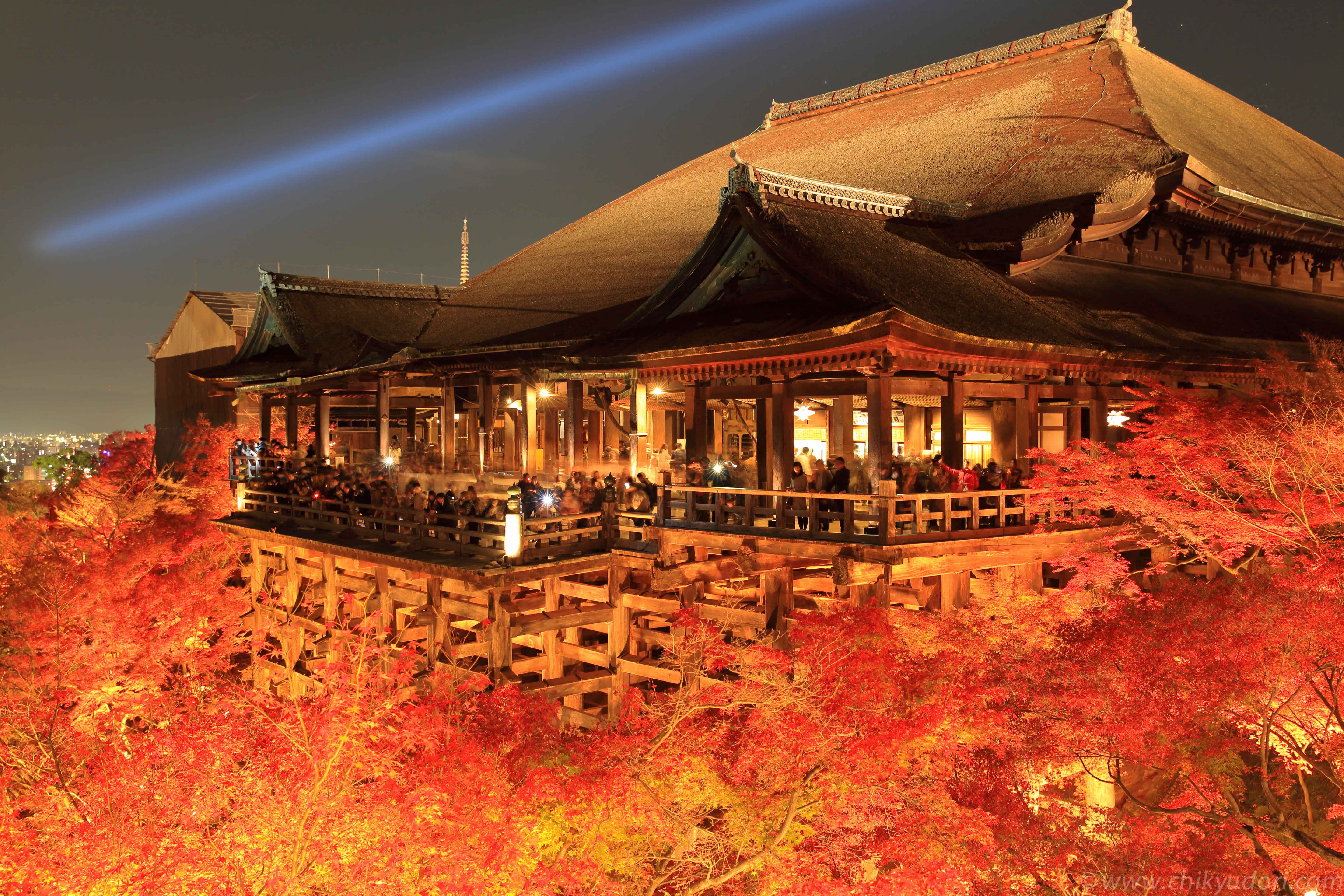 燃える紅葉、清水寺のライトアップ (Kiyomizu temple in Kyoto) - 地球の撮り方