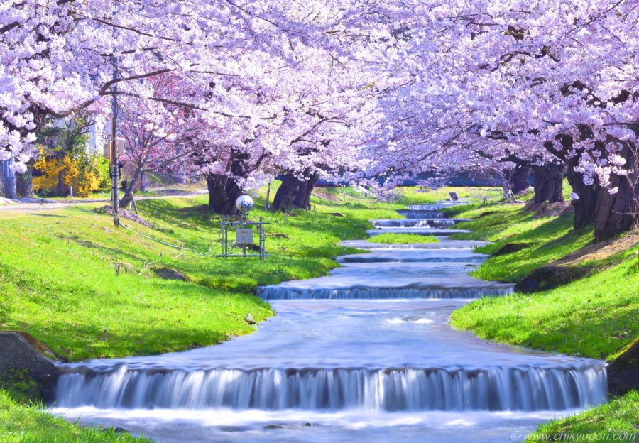 川のある風景 D810915-Edit-Edit-2-900x624.jpg