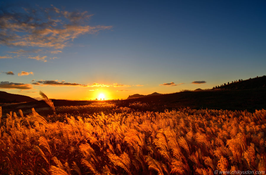 まるでナウシカの金色の野、奈良県の曾爾高原のススキ野原の夕日