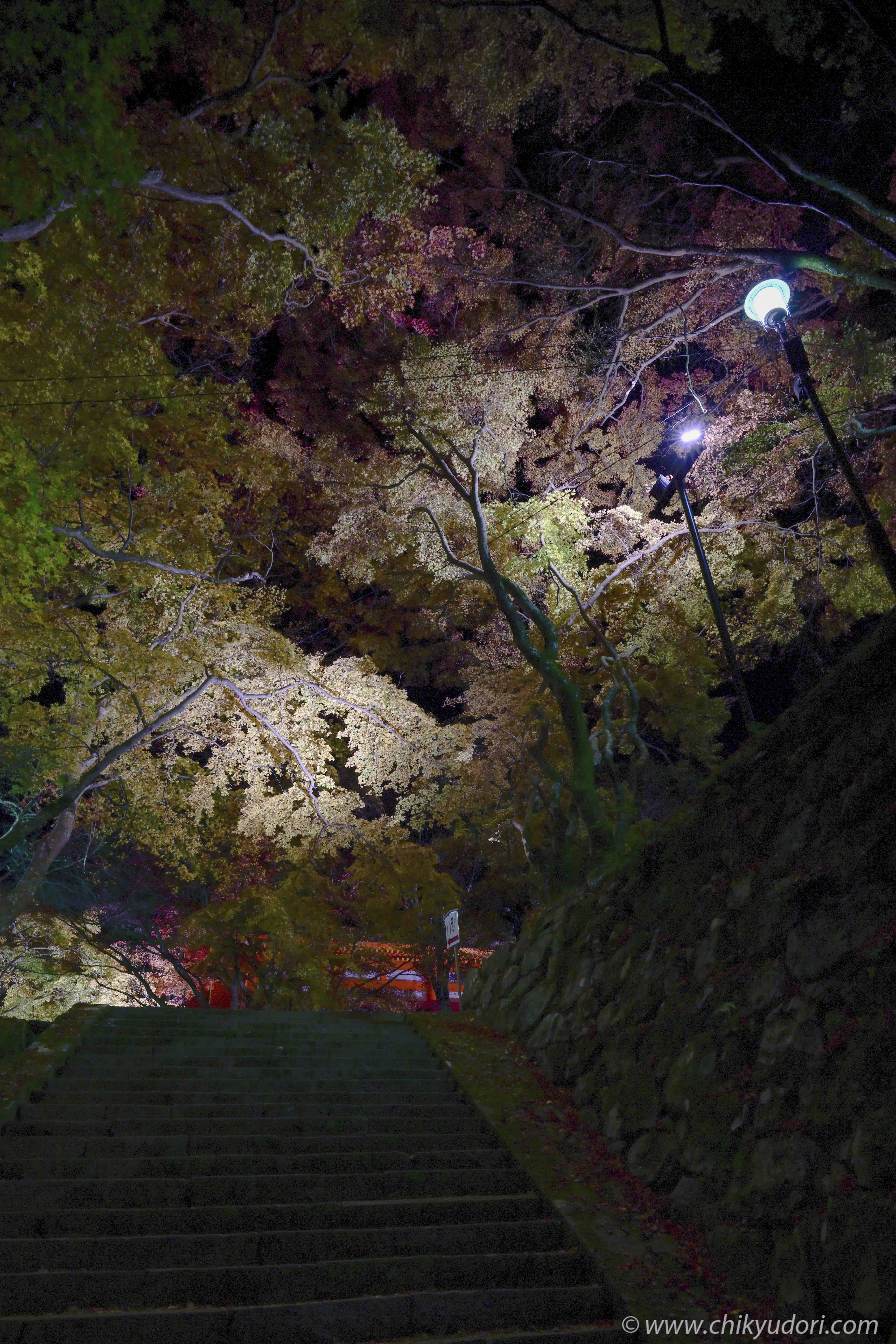 まるで関西の日光、談山神社の十三重塔の紅葉ライトアップ　